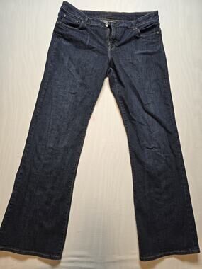 Common Genes Dark Wash Denim Jeans Size 16 Women Low/Midrise